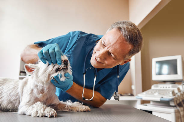 Best Dentist for Tooth Abscess  in Bandon, OR