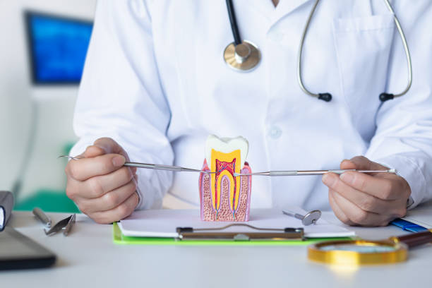Best Urgent Tooth Repair  in Bandon, OR